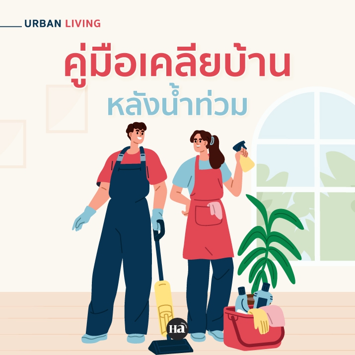 คู่มือเคลียบ้าน หลังน้ำท่วม